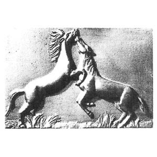 Camargue